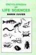 Encyclopaedia of Life Sciences... - Bild 1
