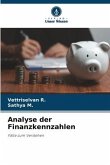 Analyse der Finanzkennzahlen