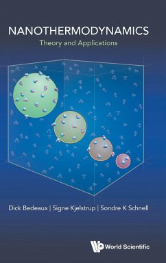 Nanothermodynamics - Dick Bedeaux; Signe Kjelstrup; Sondre K Schnell