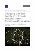 Countering Domestic Racially and Ethnically Motivated Violent Terrorism on Social Media: Introducing the Racist and Violent Extremist Flock Tool