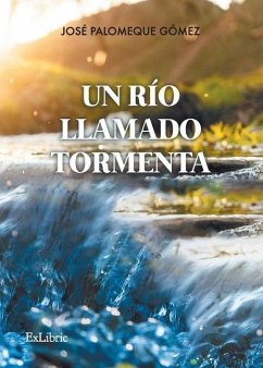 Un río llamado Tormenta - Palomeque Gómez, José