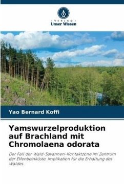 Yamswurzelproduktion auf Brachland mit Chromolaena odorata - Koffi, Yao Bernard