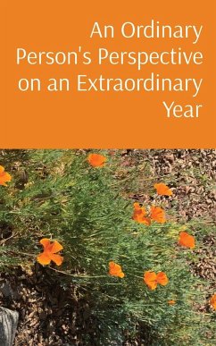 An Ordinary Person's Perspective on an Extraordinary Year - Donovan, Beth
