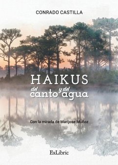 Haikus del canto y del agua - Castilla, Conrado