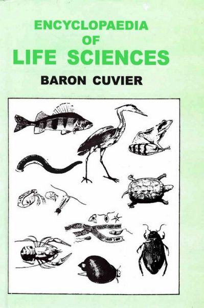 Encyclopaedia of Life Sciences (Synopsis Of The Species Of Class Mammalia) (eBook, ePUB) Encyclopaedia of Life Sciences (Synopsis Of The Species Of Class Mammalia) (eBook, ePUB)
