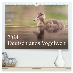 Deutschlands Vogelwelt (hochwertiger Premium Wandkalender 2024 DIN A2 quer), Kunstdruck in Hochglanz - Wiechert, Thies