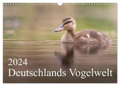 Deutschlands Vogelwelt (Wandkalender 2024 DIN A3 quer), CALVENDO Monatskalender - Wiechert, Thies