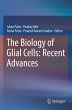 The Biology of Glial Cells: Recent... - Bild 1