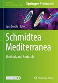 Schmidtea Mediterranea