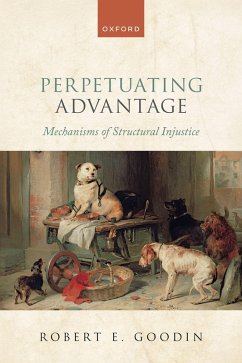 Cover Perpetuating Advantage (eBook, PDF)