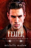 Feuer - Die Elemente der Magie 2 (eBook, ePUB)