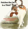 Patches The Cat is a Thief ! - Bild 1