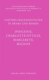 Goethes Frauengestalten in Drama und Roman: