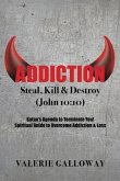 Addiction Steal, Kill & Destroy (eBook, ePUB)