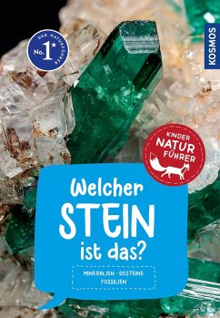 Cover Welcher Stein ist das? Kindernaturführer
