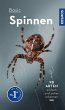 Basic Spinnen - Bild 1