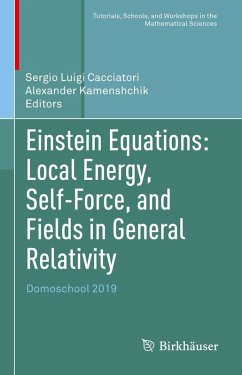 Einstein Equations: Local Energy, Self-Force, and Fields in General Relativity (eBook, PDF)
