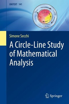 A Circle-Line Study of Mathematical Analysis (eBook, PDF) - Secchi, Simone