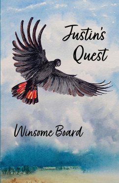Justin's Quest - Board, Winsome