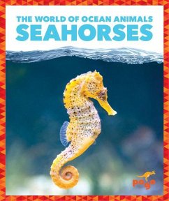 Seahorses - Schuh, Mari C