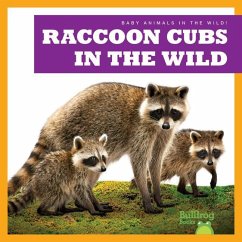 Raccoon Cubs in the Wild - Chanez, Katie