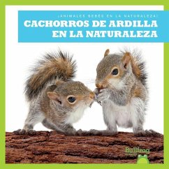 Cachorros de Ardilla En La Naturaleza (Squirrel Kits in the Wild) - Chanez, Katie