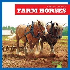 Farm Horses - Grack, Rachel