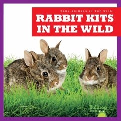 Rabbit Kits in the Wild - Chanez, Katie