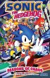 Sonic the Hedgehog: Seasons of Chaos - Bild 1