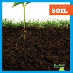 Soil - Pettiford, Rebecca