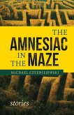 The Amnesiac in the Maze