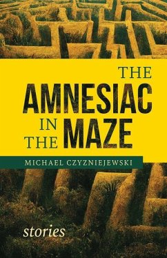 The Amnesiac in the Maze - Czyzniejewski, Michael