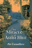 The Miracle at Assisi Hill