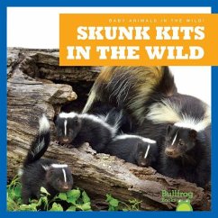 Skunk Kits in the Wild - Chanez, Katie