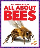 All about Bees