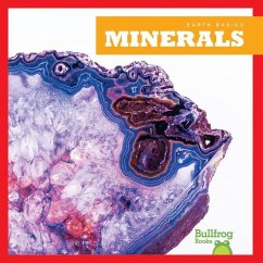 Minerals - Pettiford, Rebecca