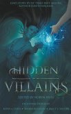 Hidden Villains