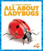 All about Ladybugs