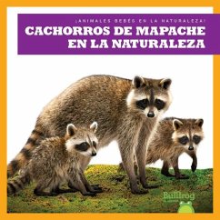 Cachorros de Mapache En La Naturaleza (Raccoon Cubs in the Wild) - Chanez, Katie