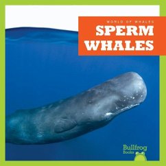 Sperm Whales - Chanez, Katie
