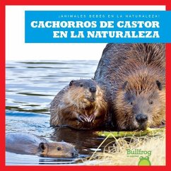 Cachorros de Castor En La Naturaleza (Beaver Kits in the Wild) - Chanez, Katie