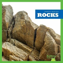 Rocks - Pettiford, Rebecca