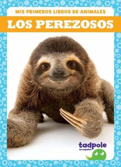 Los Perezosos (Sloths) - Brandle, Marie