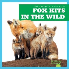 Fox Kits in the Wild - Chanez, Katie