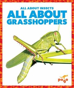 All about Grasshoppers - Kenney, Karen