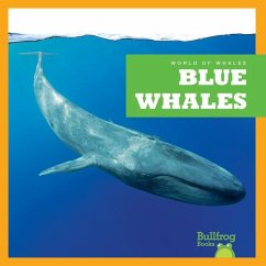 Blue Whales - Leahy, Eliza