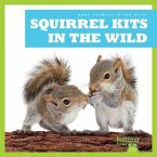 Squirrel Kits in the Wild