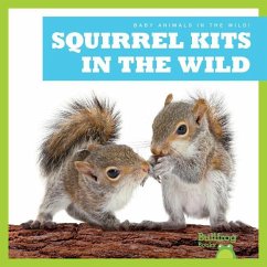 Squirrel Kits in the Wild - Chanez, Katie