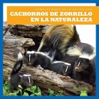 Cachorros de Zorrillo En La Naturaleza (Skunk Kits in the Wild)