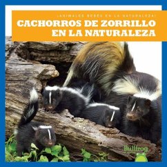 Cachorros de Zorrillo En La Naturaleza (Skunk Kits in the Wild) - Chanez, Katie